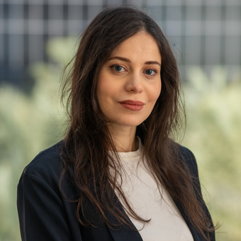 Ms. Dina Hawash